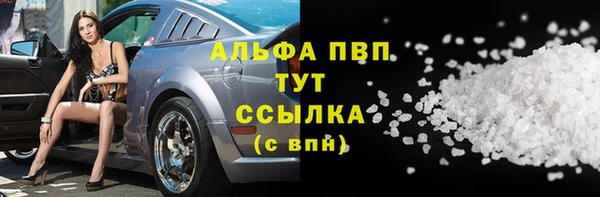 индика Рославль