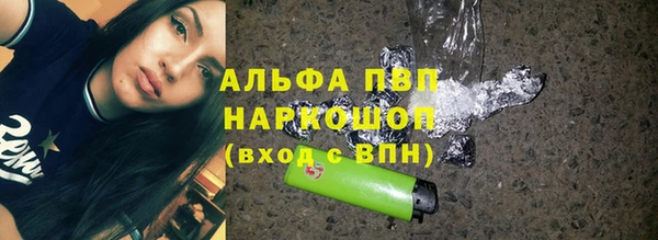 индика Рославль