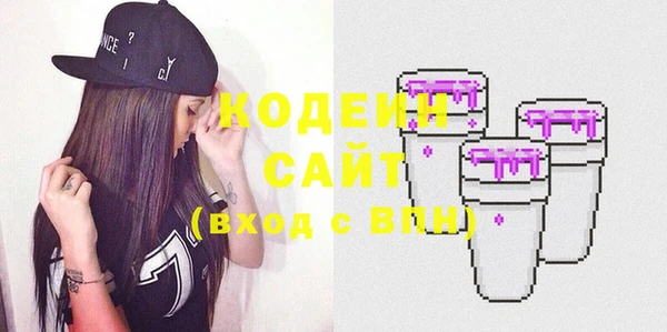индика Рославль