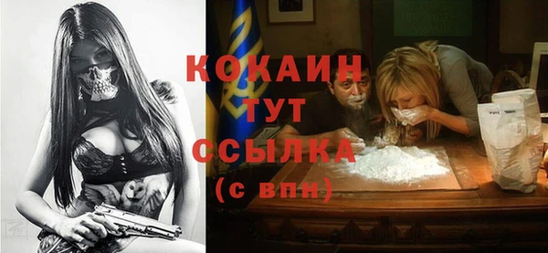 индика Рославль